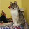Отзыв от Любовь Лобанова